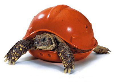 Вадим Габдуллин