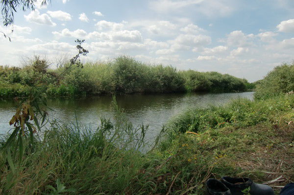 Ирина Добрякова