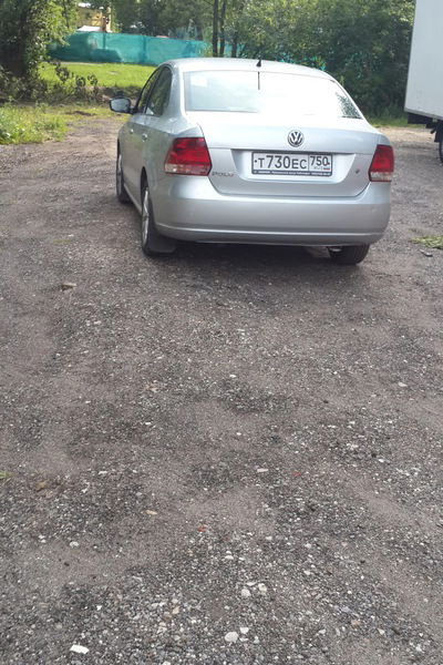 Майя Пчелкина