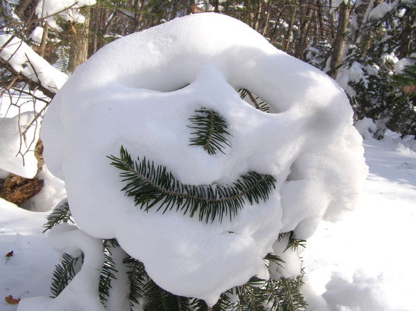 Дмитрий Деменок