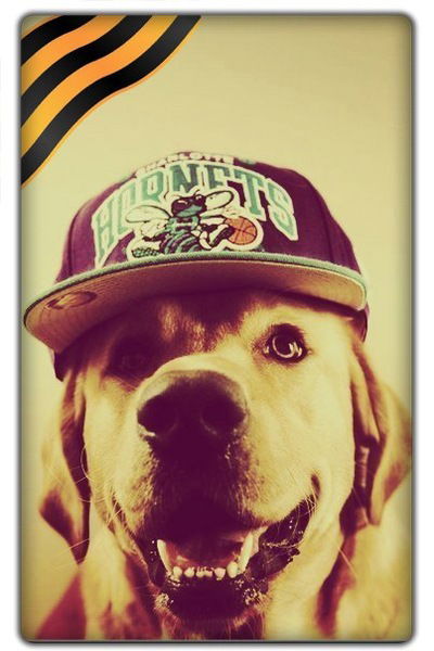 Никита Кузнецов