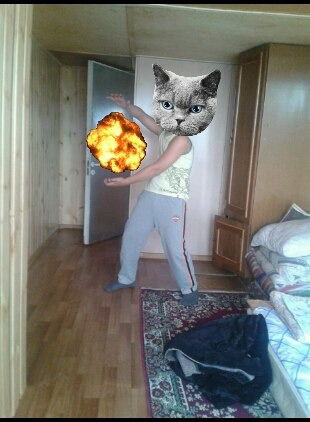 Арман Кошаев