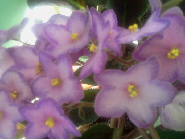 Людмила Иванова