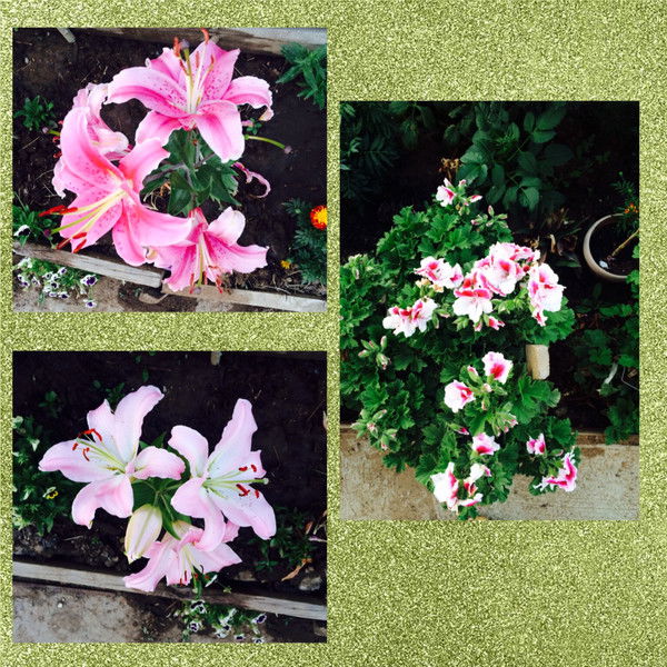 Арман Кусаинова