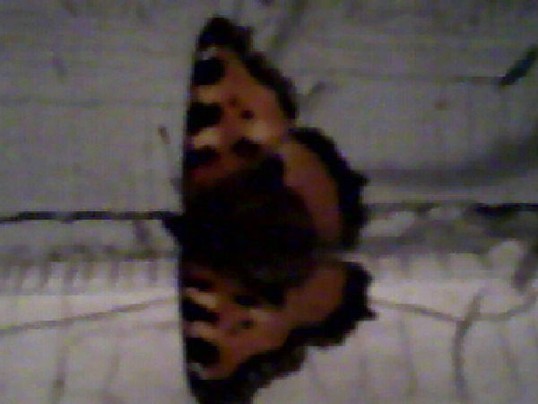 Алина Нигматуллина