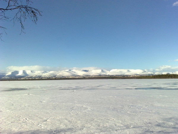 Валерий Филиппов