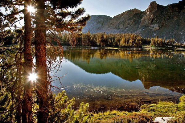 Светлана Шарыгина