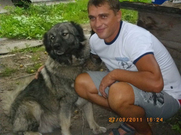 Александр Дедяев