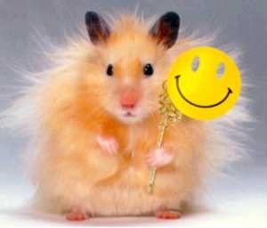 Кушнир Виктория