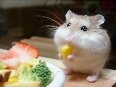 Алина Булатова