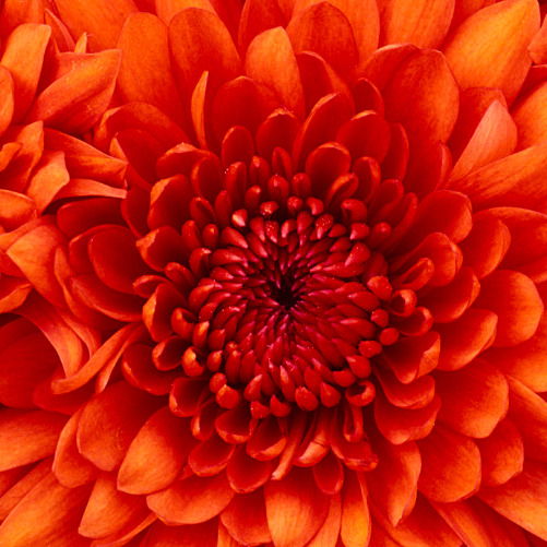 Валентина Воробей