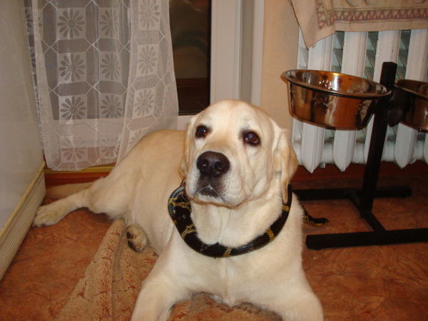 Соломин Александр