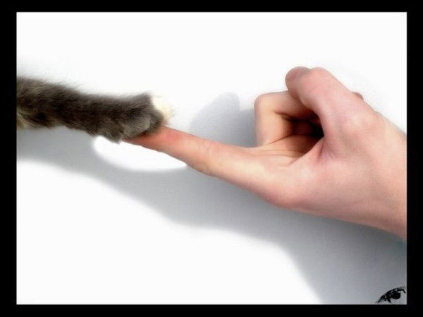 Настя Савченко