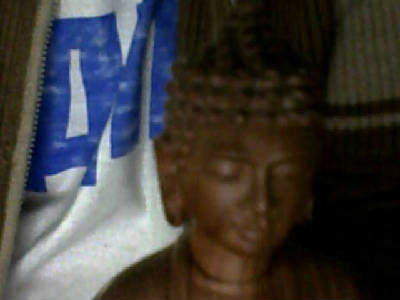 Александр Данзанов