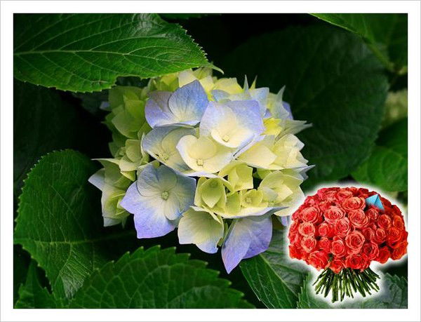 Рузиля Муслимова