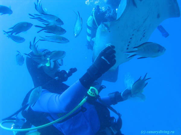 Денис Кудрявцев