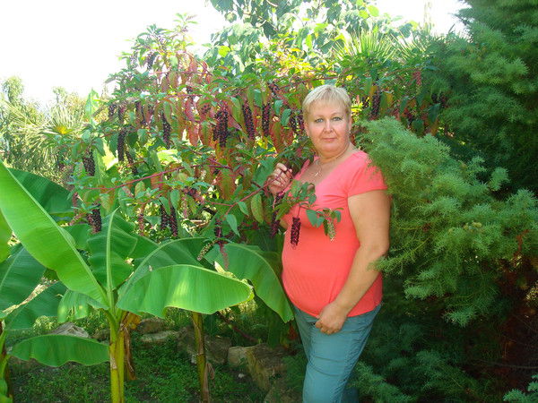 Наталья Иванцова