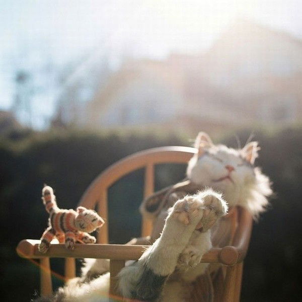 Виктория Посадскова