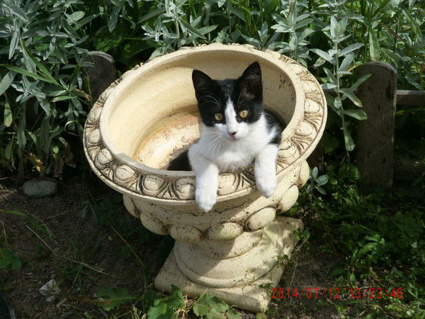 Оргизделия Оргизделия