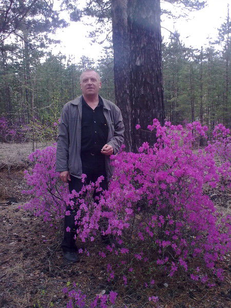 Анатолий Привезенцев