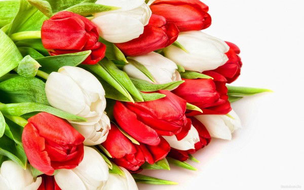 Айгуль Мукушева