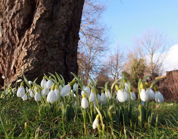 Виктория Кучай