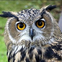 Марина Федорова