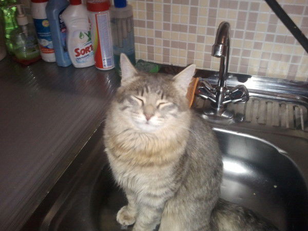 Сергей Топорин