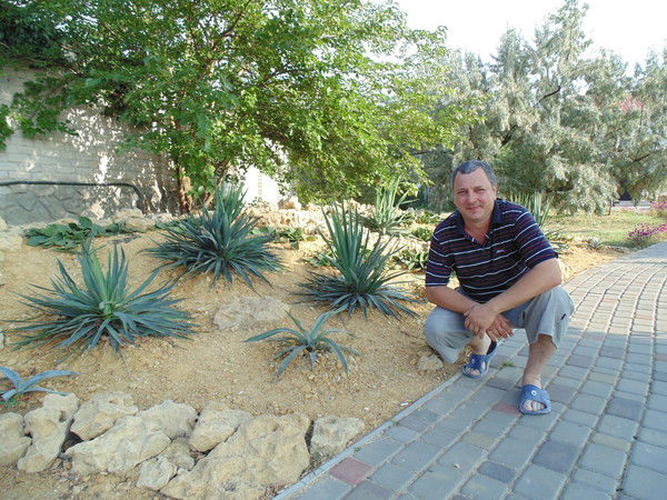 Стас Ливанов