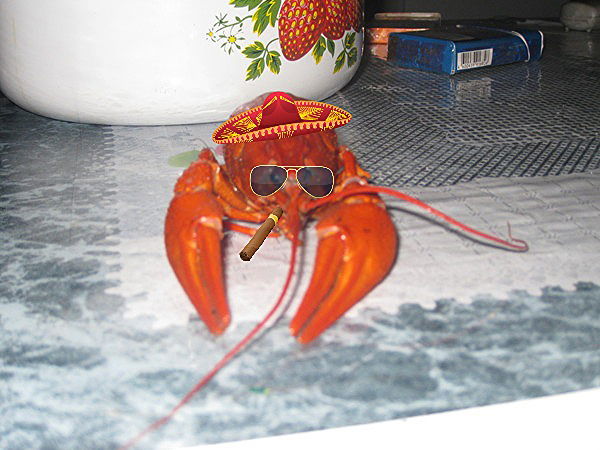 Дмитрий Чернов