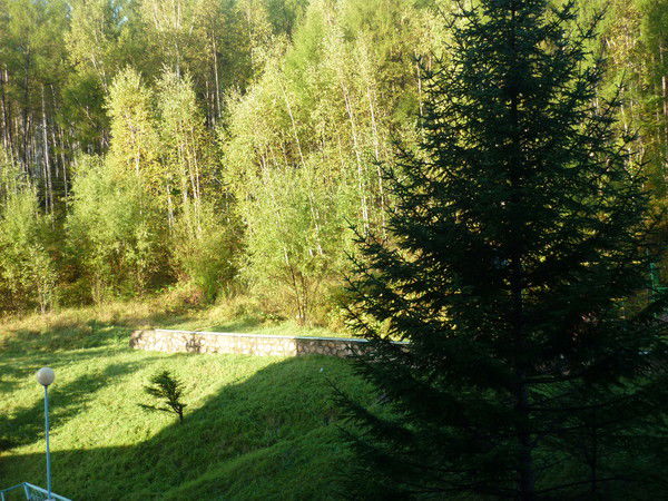 Анна Афанасьева