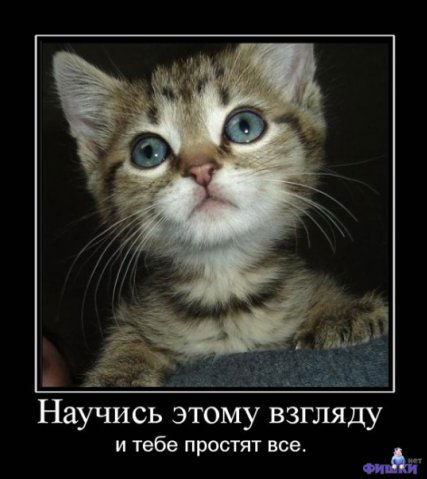 Евгений Евгеньевич