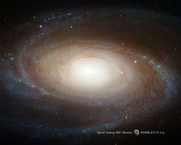 Стефан Гончаров