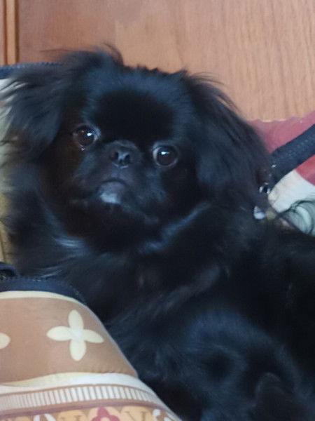 Ирина Смирнова