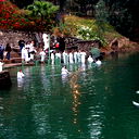 Madian Tours