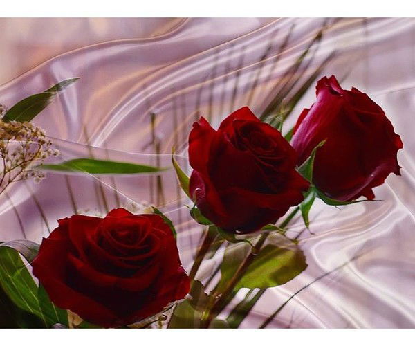 Айнур Магзумова