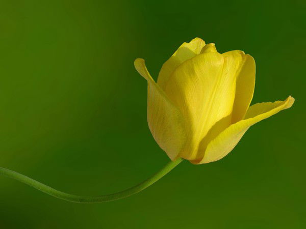 Людмила Колесникова