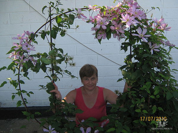 Надежда Северин