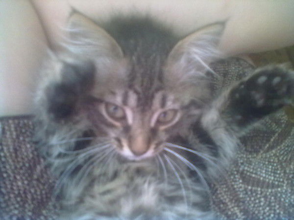 [Аlex] [Каzаkоvа]