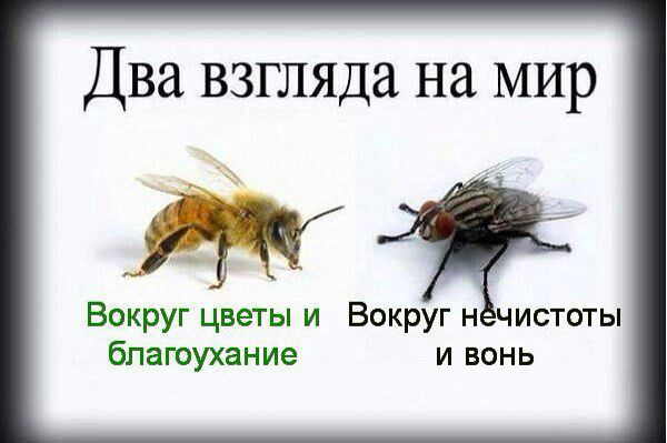 Юсуф Юсуф
