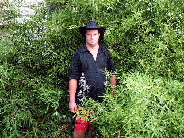 Иван Марков