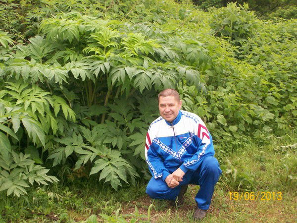 Алексей Иванов