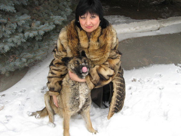 Оля Майстренко