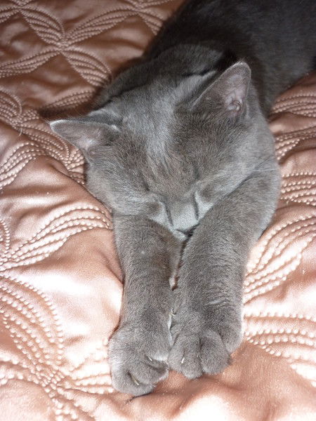 Данил Иванов