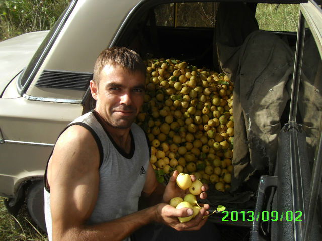 Алексей Риковский