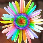 Елизавета Гитис