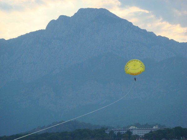 Елена Кривич