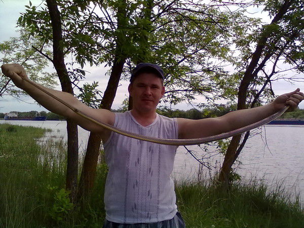 Максим Фетисов