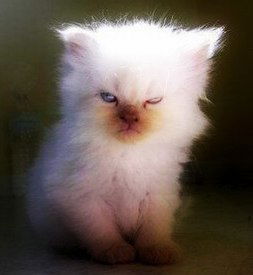 Выдуманный Друг