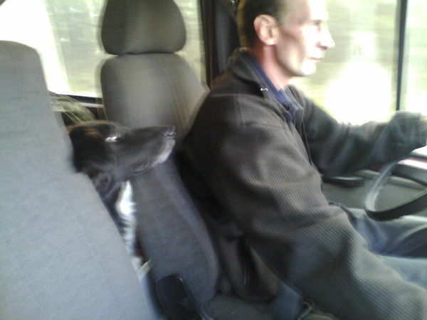 Павел Юрченко